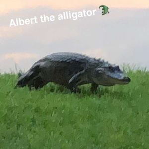 Meet your Posher, Sue